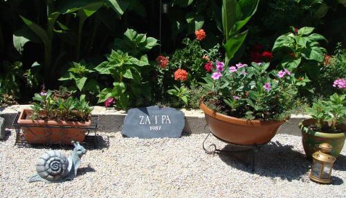 Zaira Studios