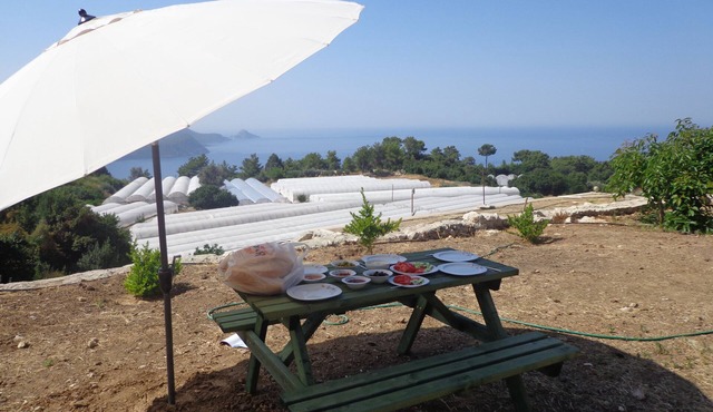 Çiftlik Tepesi