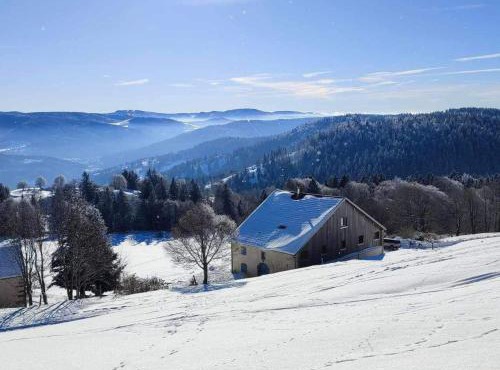 Évasion tranquille dans les Vosges : chambre avec vue, cheminée et cuisine locale - FR-1-589-623