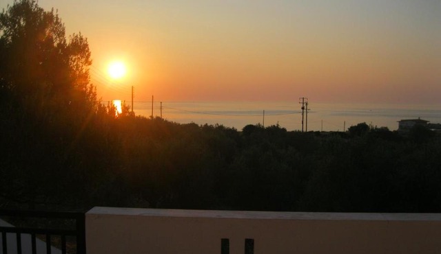 Ελαίας λειμών
