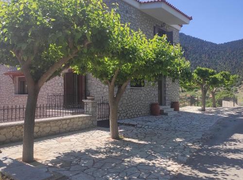 Πέτρινο