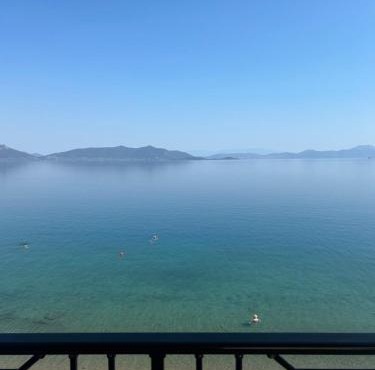 Το ροδον