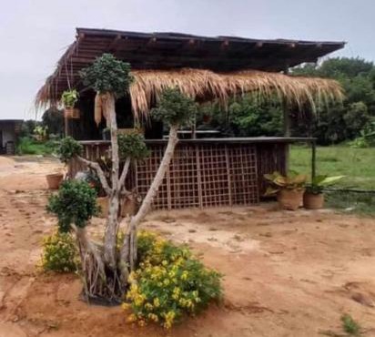 ทุ่งนากางเต้นท์ Countryside
