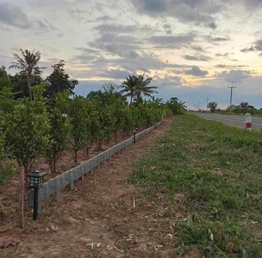 ทุ่งนาแคมป์ปิ้ง Countryside