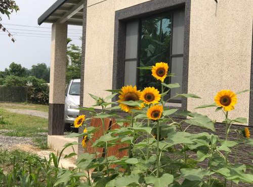 哲芷軒包棟養生莊園