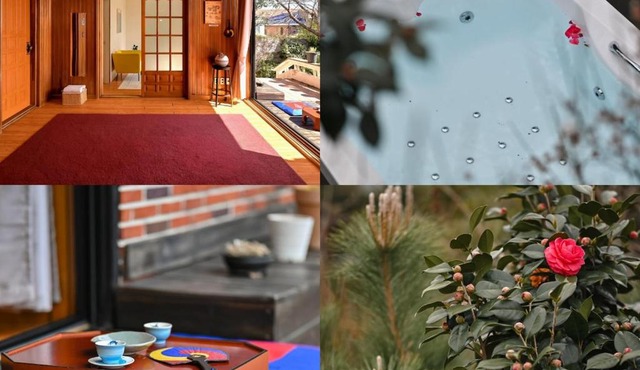 양옥집소정원 Fantastic ocean view private house, year round spa jacuzzi, BBQ,Seogwipo tourism center, Maeil Olle Market 5 minutes, Jungmun Tourist Complex, near Hallasan