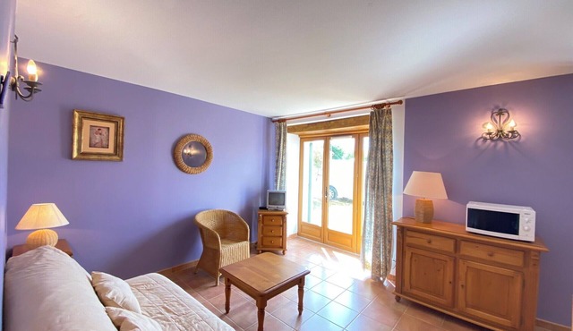 04B6 : Beautiful studio in a mas provençal - pool