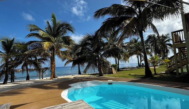 1-bdm tropical beach paradise w/pool, hammocks, cabana, snorkeling, BBQ & more!