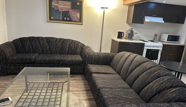 1 Bdr Apartment : TTC/SUBWAY Access