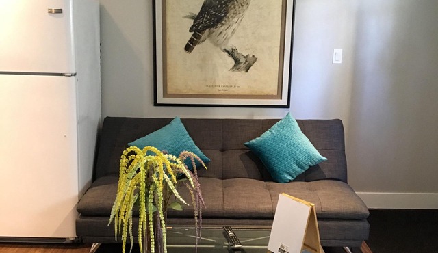 1 Bdrm private suite, self contained private entrance, small pets welcome.