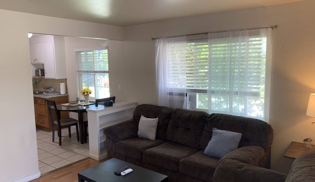 1 Bed 1 Bath downtown San Jose