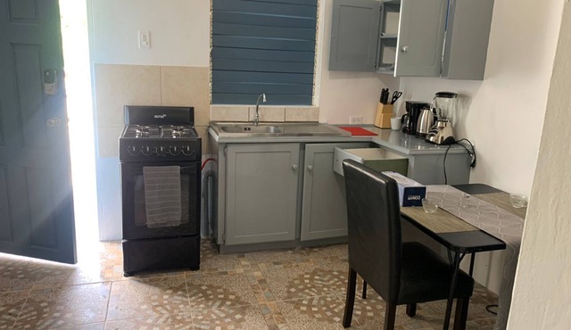 1 Bed Studio Apt - Parking, Wifi, Mountain Views