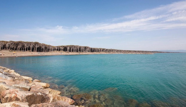 1 bedroom accommodation in Cecina LI