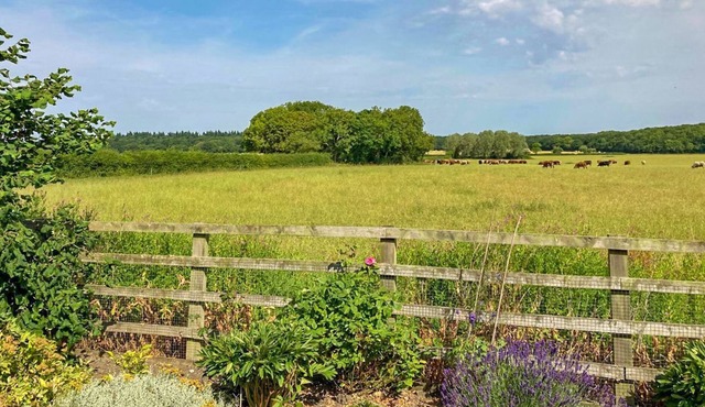 1 bedroom accommodation in Gautby