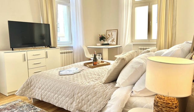 1-bedroom apartment in City Centre Prague with WiFi