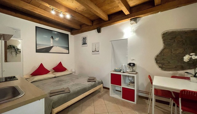 1 Bedroom Apartment in Trieste