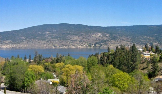 1 Bedroom Executive Lakeview Suite