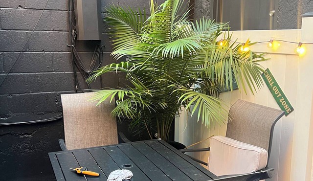 1 Large studio APARTMENT NEWLY RENOVATED with backyard
