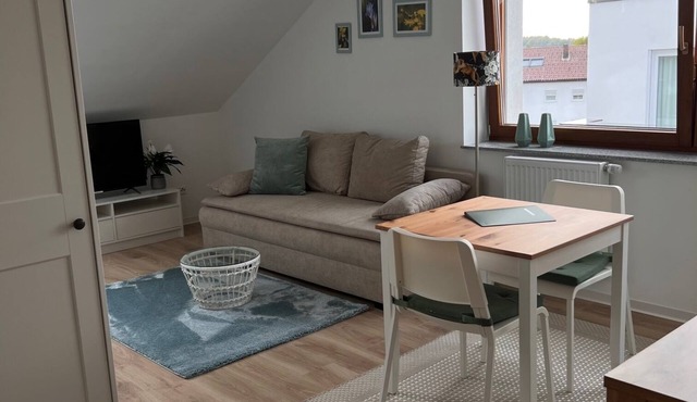 1 room attic studio, bright and cozy. Ideal for 1 person