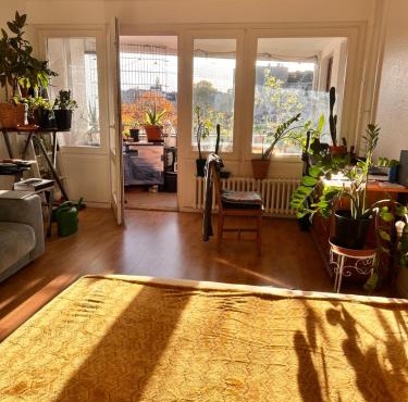 1 Zimmer mit Aussicht und 1 Zimmer mit Balkon in 4 Zimmer Wohnung, Szene, Parks und Top Lage