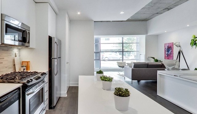 100% Walk Score! NEW Large, High Ceilings, Designer Luxury Open Style Live/Work!