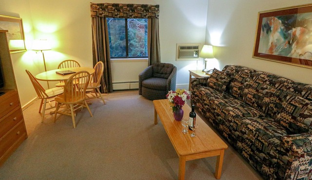 115 Efficiency with Sleeper Sofa only