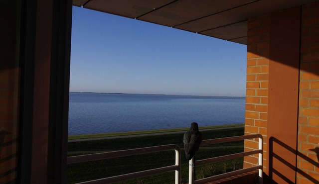146 Südstrand Meerblick