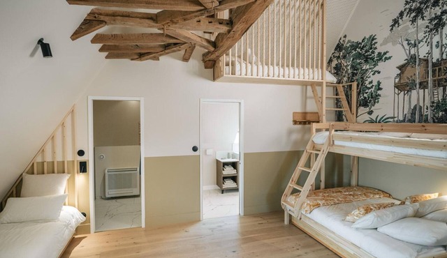 14th Century Authentic Charm with WiFi and Parking in Contigny