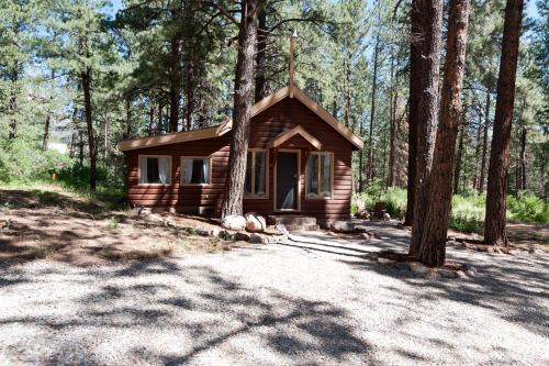 151 CR 200 Studio Cabin