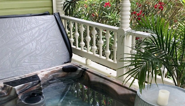 1800's FARMHOUSE, Hot Tub, Bidet, Sauna 10 min to DT & LADYBIRD LAKE