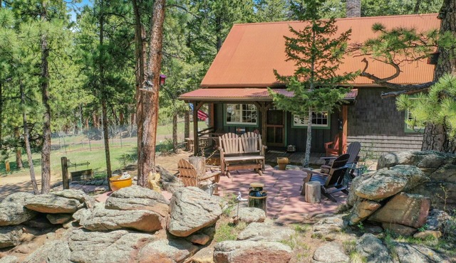 1906 lovingly restored cabin on 1.5 acres/1mi to EP & 2mi to RMNP/mountain views
