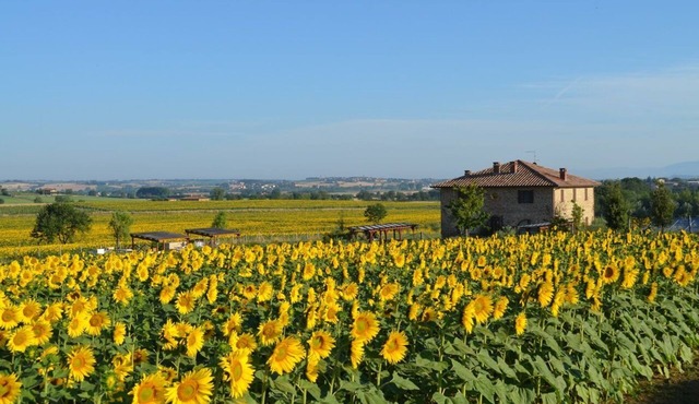 19th century stone villa with private pool and garden/6 sleeps/pet friendly
