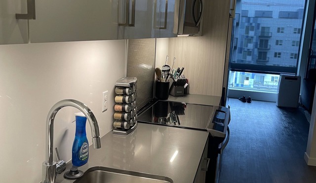 1BDRM Apartment in Downtown Redmond