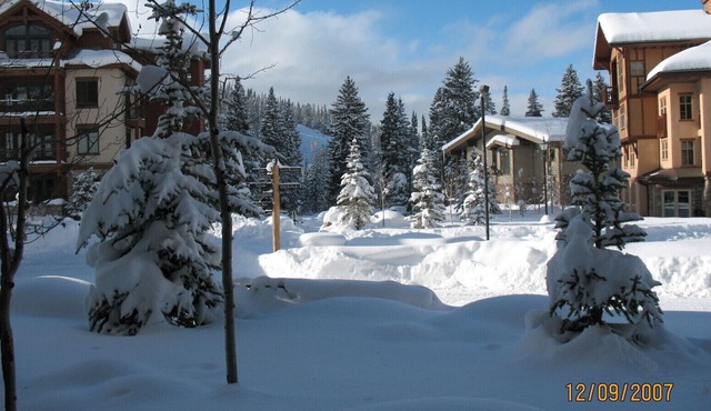 1BR Executive Suite in Solitude Village - 300 steps to chairlifts - upgraded