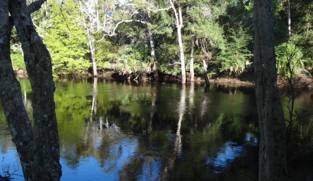 2/1 Riverfront! Cabin-Fireplaces-Balcony-Nature-Fishing-Gulf of Mexico