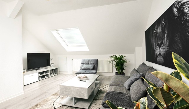 2.5-room incl. workplace, WLAN & free Netflix - fully equipped
