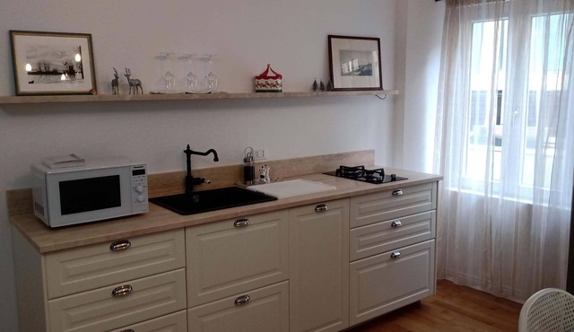 2-bedroom, 4-guest apartment in historic area of Trieste in 19th century style