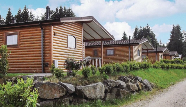 2 bedroom cozy home in Gerolstein