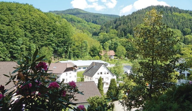 2 bedroom accommodation in Bad Peterstal-Griesb.