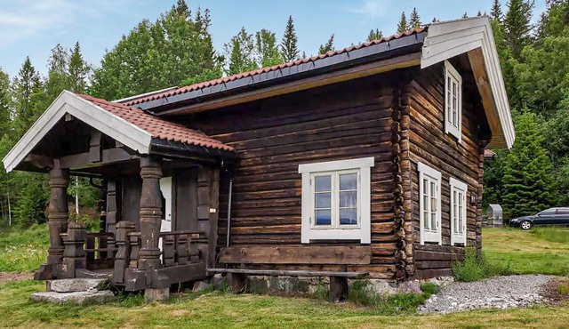 2 bedroom gorgeous home in Eggedal
