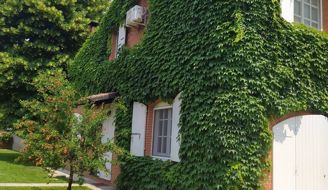 2 Bedroom Apartment in Castelfranco D'oglio