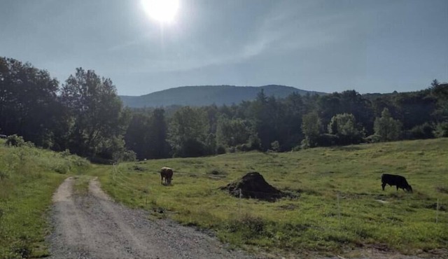 2 BR pets ok, amazing view, swimming hole, fantastic view of Green Mountains