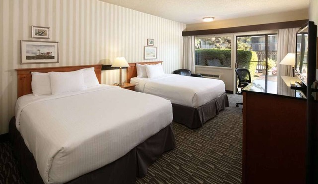 2 Comfortable Units! A quick drive away from Downtown Bellevue! Pets Allowed!