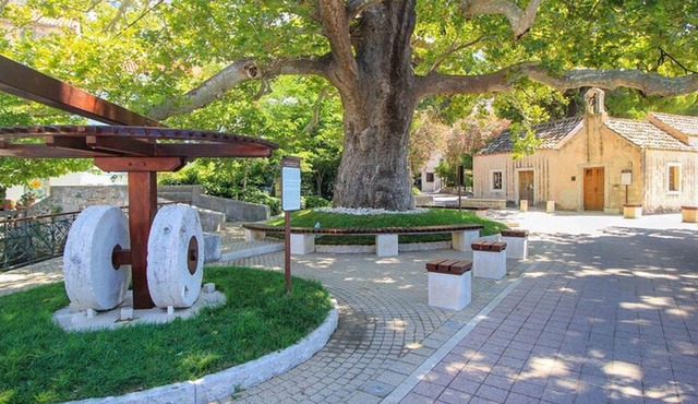 2-Hour Guided Walking Tour in Mlini