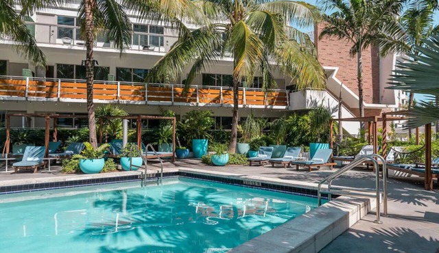 2 Modern Units in South Beach – Pet-Friendly, & Close to Dining and Shopping