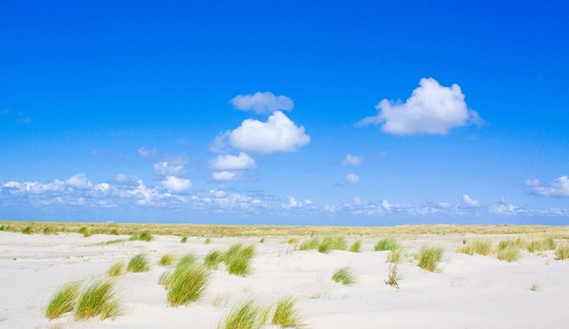 2 Nature escape | Free parking | Near Nature park, Beach vibes & Nature trails