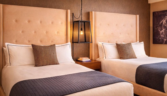 2 Pet-Friendly Boutique Rooms Perfect for Guests with Furry Friends