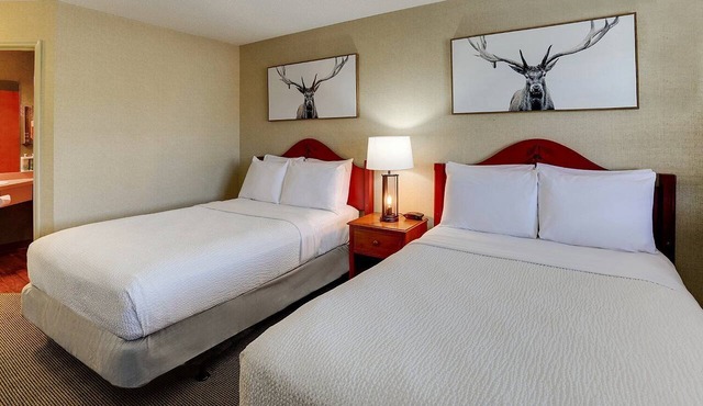 2 Pools, Deluxe 2 Double Stoney Creek Galena | 3 Units
