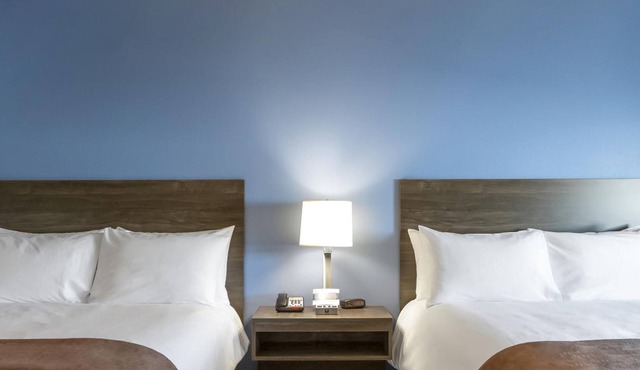 2 Queen Accommodation near University Museum | Free On-Site Parking!