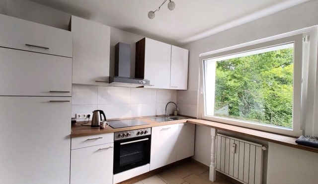2 room apt. at Schillerteich near VW/clinic/center